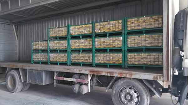 汽车包装与物流融于汽车产业，贯穿供应链的始终